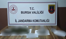 İnegöl'de uyuşturucu operasyonu