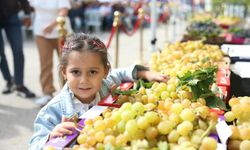 Osmangazi’de üzüm bereketi festivalle taçlandı
