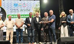 Gemlik’te zeytinin kilosu 77 bin liraya satıldı