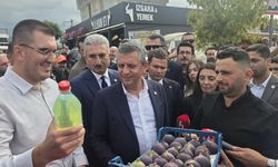 Bursa’da incir üreticisi Özgür Özel’e dert yandı: “Mazot belimizi büküyor”