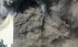 Bursa’da soğuk hava deposunda büyük yangın