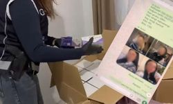 Yasa dışı üreme hücresi ticaretinde yeni detay: Donör kadınların bilgileri kataloglanmış