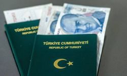 4 meslek grubuna yeşil pasaport