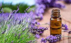 Lavanta yağı depresyon belirtilerini azaltır mı?