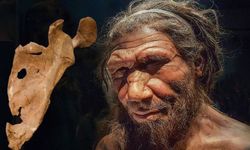 Bilim insanları araştırdı: Neandertaller şiddete ne kadar başvuruyordu?