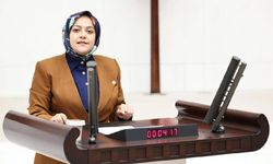Azerbaycan'ın iki milletvekiline giriş yasağına Sema Silkin Ün'den tepki