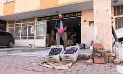 Bursa’da 10 ton erik elinde kaldı: Çareyi sosyal medyada buldu