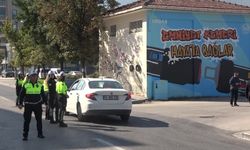 UEDAŞ Trafolar Konuşuyor projesinde yeni adım:76. trafo renklendirildi