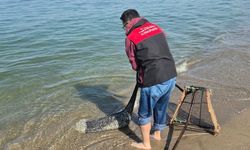 Bursa’da Kaçak Avcılığa Büyük Darbe! 2 Ton 760 Kilo Kum Şırlanı Kurtarıldı
