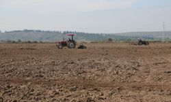Bursa’da 150 dekarlık yapay mera kuruluyor