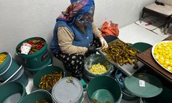 Gedelek Turşusu Neden Çıtır? İşte 700 Yıllık Geleneğin Sırrı