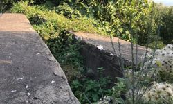 İznik’te 2 bin yıllık su kemeri ilgisizlikten çökmeye başladı