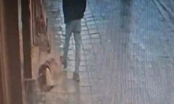 Uyuyan köpeğe tekme attı, köpek adamı bacağından ısırdı