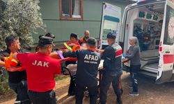 Ağaçlık alanda kayboldu, 19 kilometre uzakta bulundu