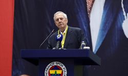 Fenerbahçe teknik direktör kararını açıkladı