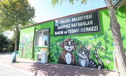 İnegöl'de renkli görüntüler, öğrenciler patili dostlarla buluştu