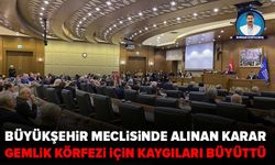 Büyükşehir meclisinde alınan karar Gemlik Körfezi için kaygıları büyüttü
