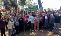 Akbelen’de köylülerin hukuk mücadelesine Danıştay’dan ret