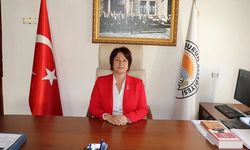 İlkay Girgin Erdoğan kimdir, nereli? YENİ Parti’den neden istifa etti?
