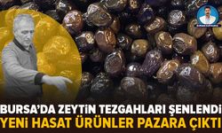 Bursa’da zeytin tezgâhları şenlendi! Fiyatlar 100 liradan başlıyor, 950 liraya kadar çıkıyor