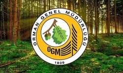 Orman Genel Müdürlüğü 12 müfettiş yardımcısı alacak! KPSS şartı ve sınav tarihi belli oldu