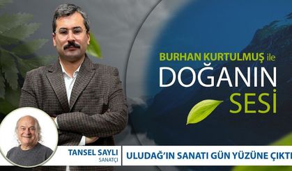 DOĞANIN SANATA DÖNÜŞEN HİKAYESİ: Tansel Saylı ile “Doğanın Sesi”