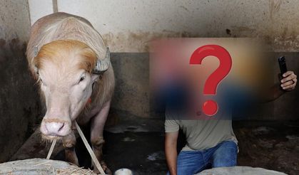 O isme benzerliğiyle dikkat çekiyor