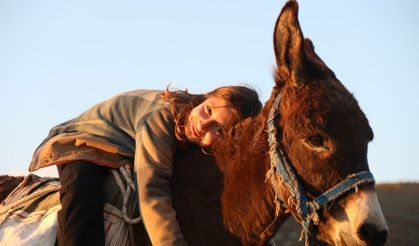 Eşeğinin üzerinde koyunlarını güdüyor