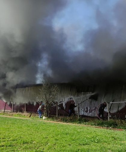 Bursa'da gül serası alevlere teslim oldu!