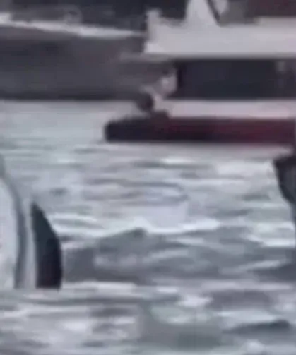 Yolcu vapuru balıkçı teknesine çarptı