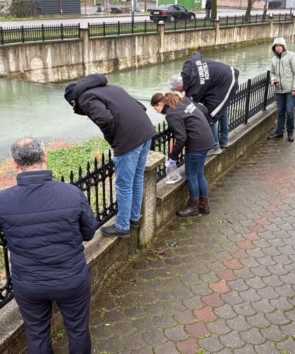 İnceleme başlatıldı! Uludere Çayı'nda binlerce ölü balık bulundu