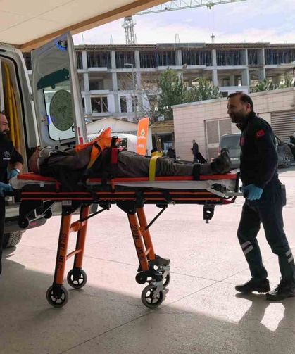 Ceviz ağacından düşen yaşlı adam ağır yaralandı