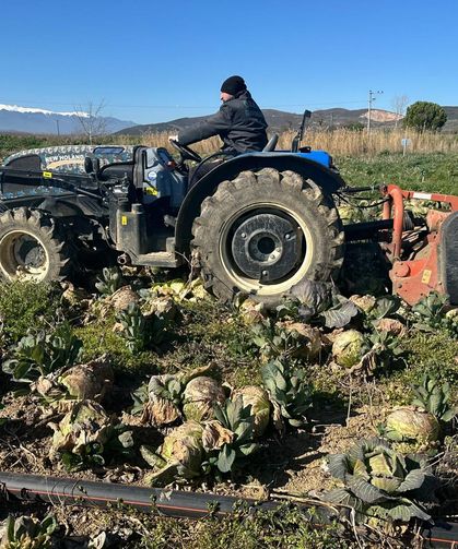 Bursa'da ne çiftçi kazandı ne de tüketici ucuza yedi