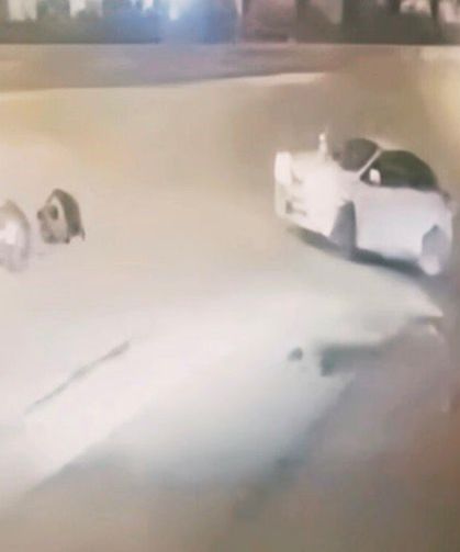 Motosikletiyle seyir halindeyken silahlı saldırıya uğrayan genç hayatını kaybetti