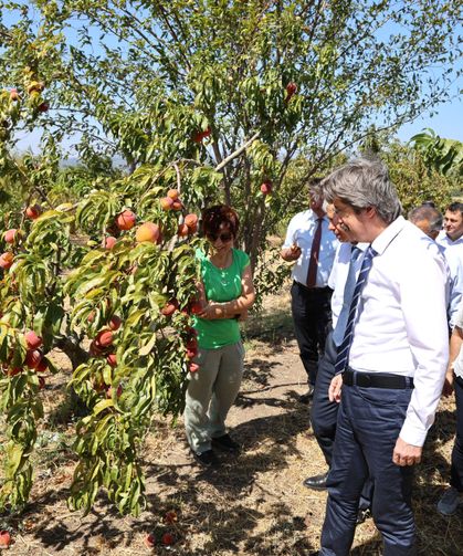 BUÜ, ziraat ve ormancılık alanında dünyada ilk 500’de