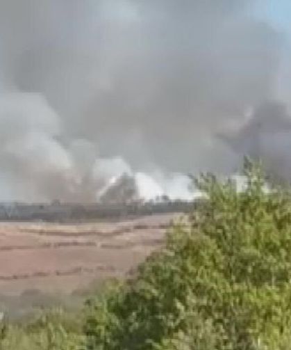 Ormanlık alanda yangın