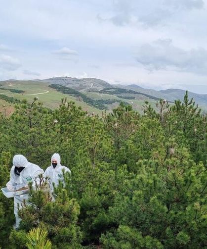 Doğanın sessiz kahramanları görev başında