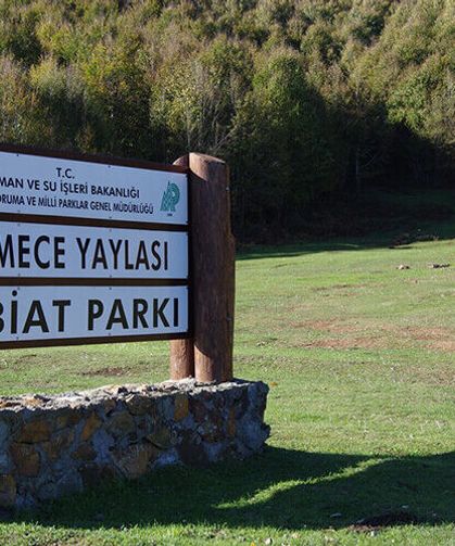 Yalova’da Delmece Yaylası yakınında maden ruhsatı iddiası