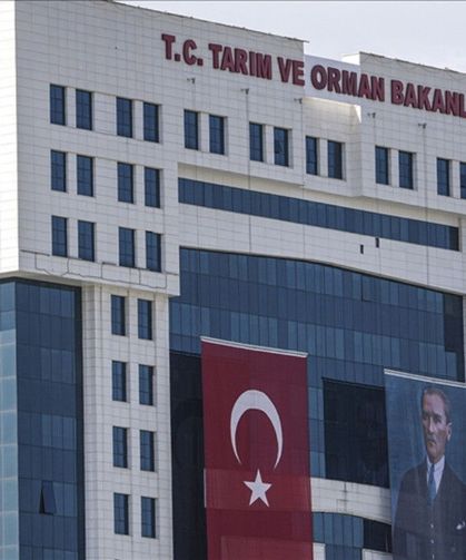 Türkiye'de yapay et olacak mı? Bakanlık açıkladı