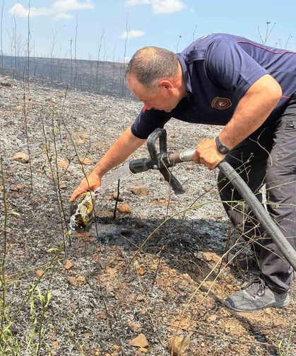 Yangının ortasında kalan kaplumbağayı suyla serinlettiler