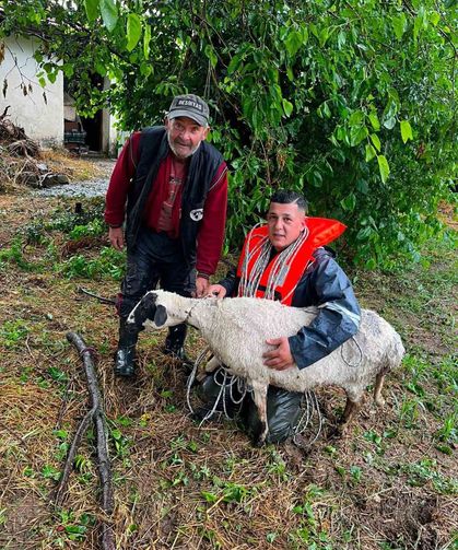 Yoğun yağış nedeniyle suda mahur kalan koyun kurtarıldı