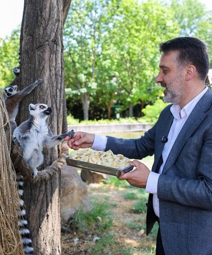 Başkan Vekili Biba'dan hayvanat bahçesi'ne ziyaret