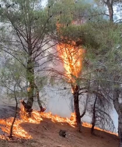 Orman yangınında mahalle sakinleri de seferber oldu