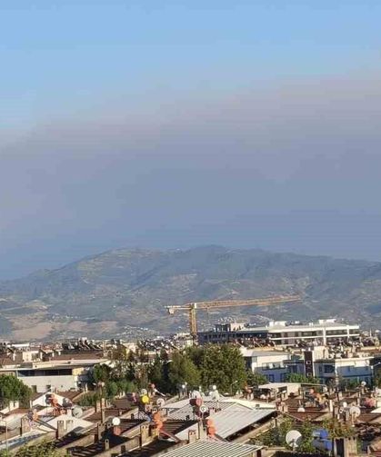 Çine yangının dumanları Efeler'e ulaştı