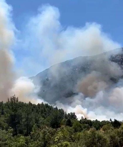 Orman yangınına 12 hava aracı müdahale ediyor