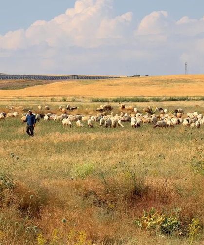Başta 40'tı, 400'e çıkardı