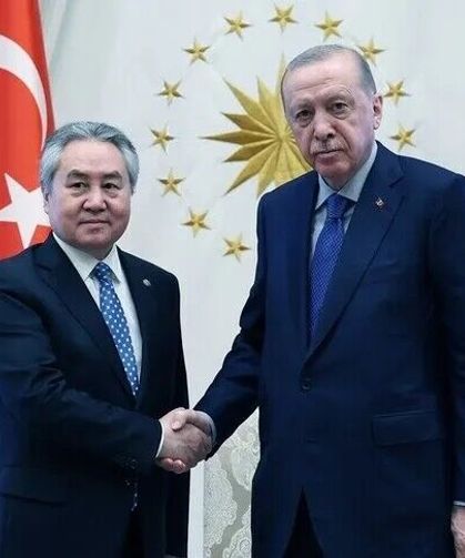 Cumhurbaşkanı Erdoğan, Kırgızistan Dışişleri Bakanı Kulubayev'i kabul etti