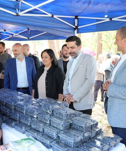 İznik’te maviyemiş hasadı festivale dönüştü