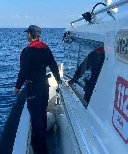 Datça’da deniz kaplumbağası paniği