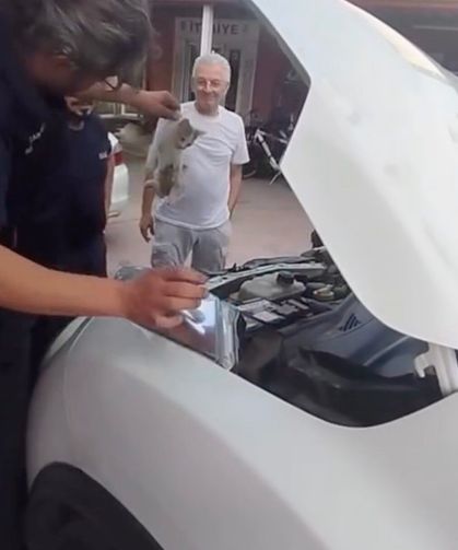 Yalova'da otomobile sıkışan minik kedinin yardımına itfaiye ekipleri yetişti
